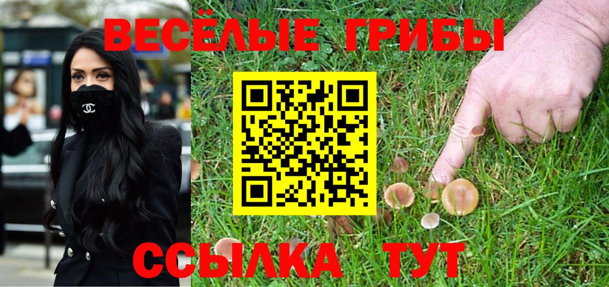 Азов  Галлюциногенные грибы Psilocybe  Вход с VPN 
