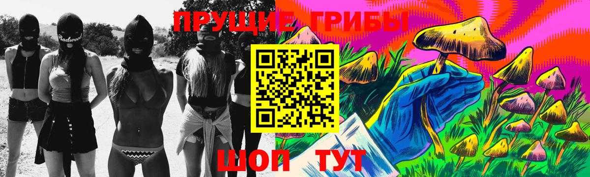 Галлюциногенные грибы Cubensis Азов